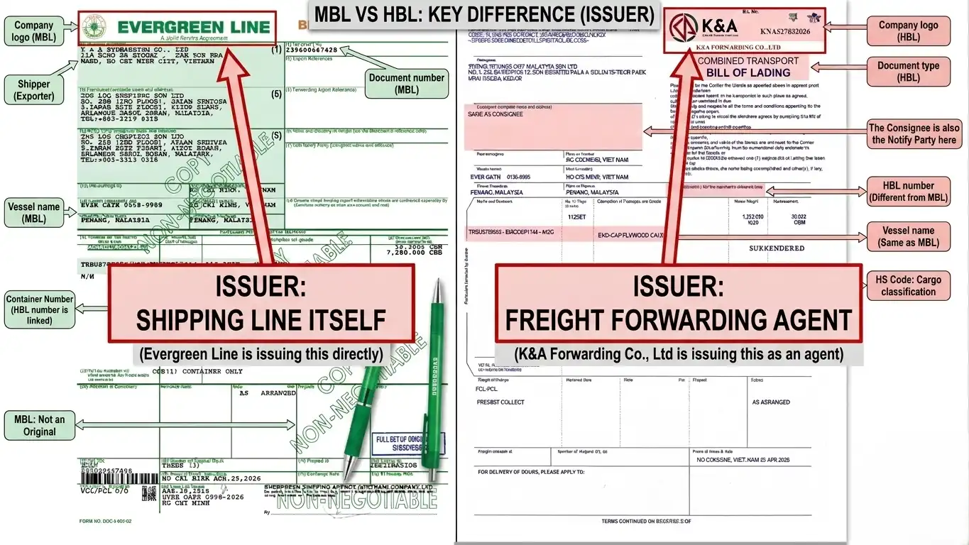 Infographic comparing House BL vs Master BL and who issues each bill in Malaysia shipping
